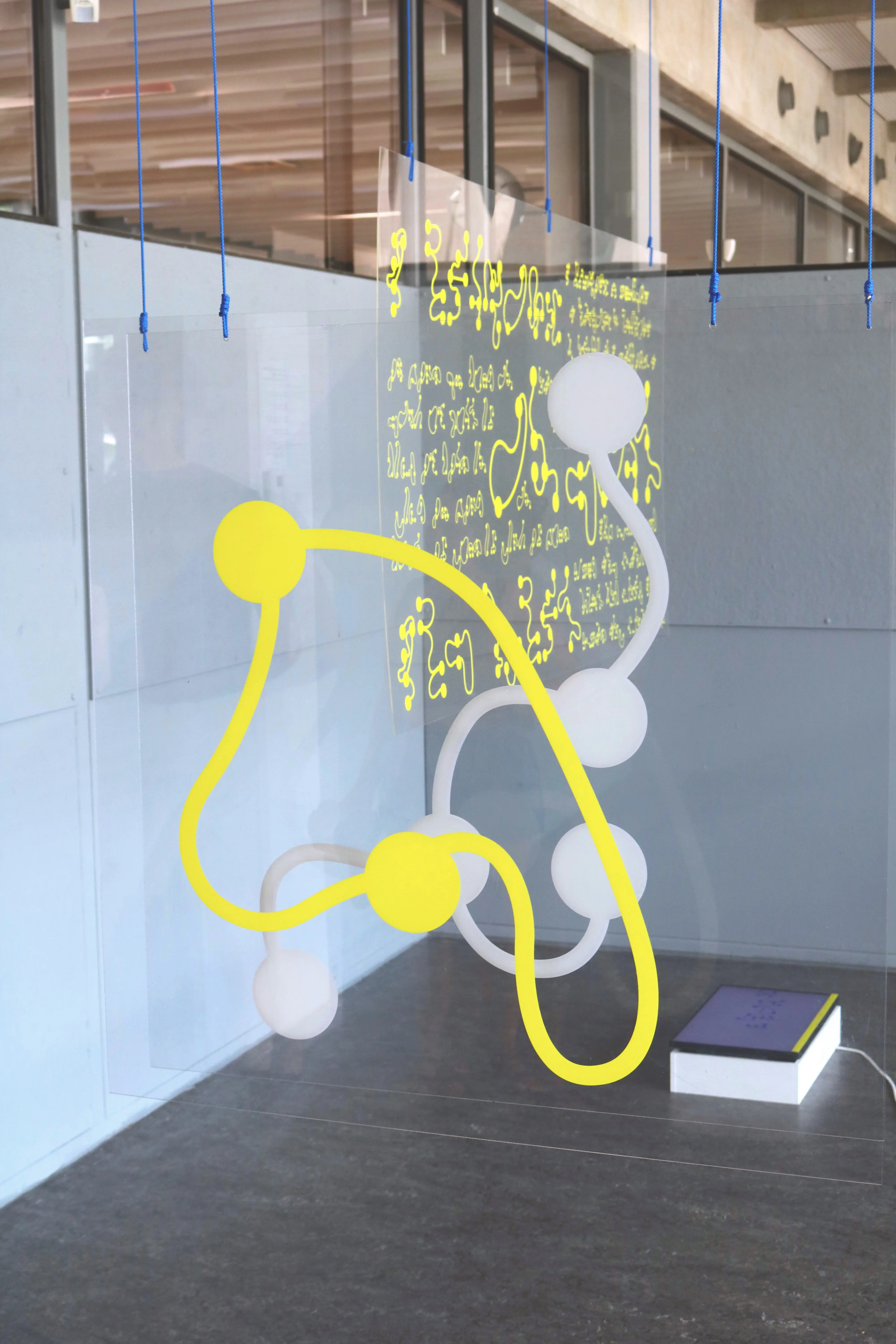 A Network of Dots and Lines