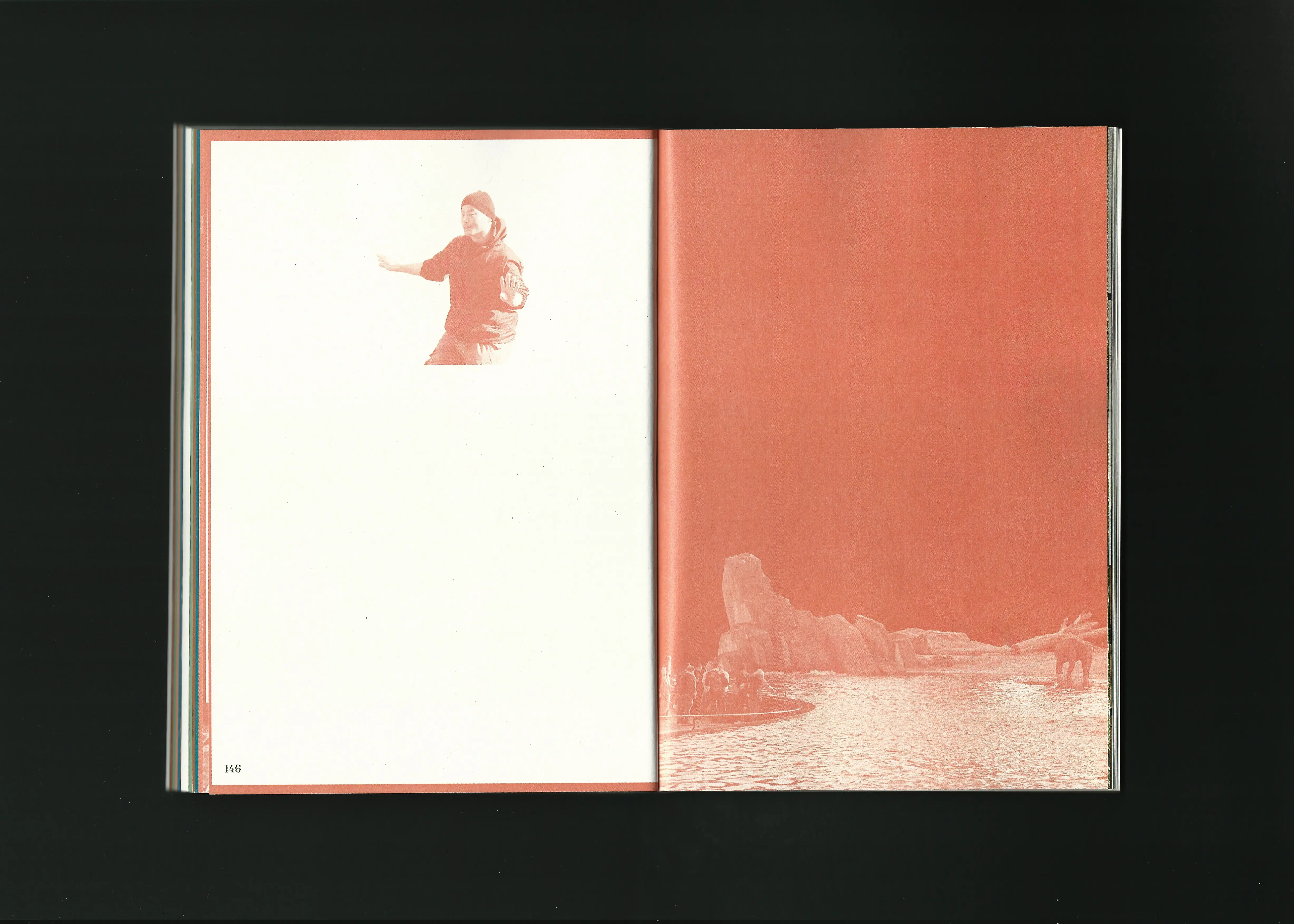 Machine Wilderness Publication