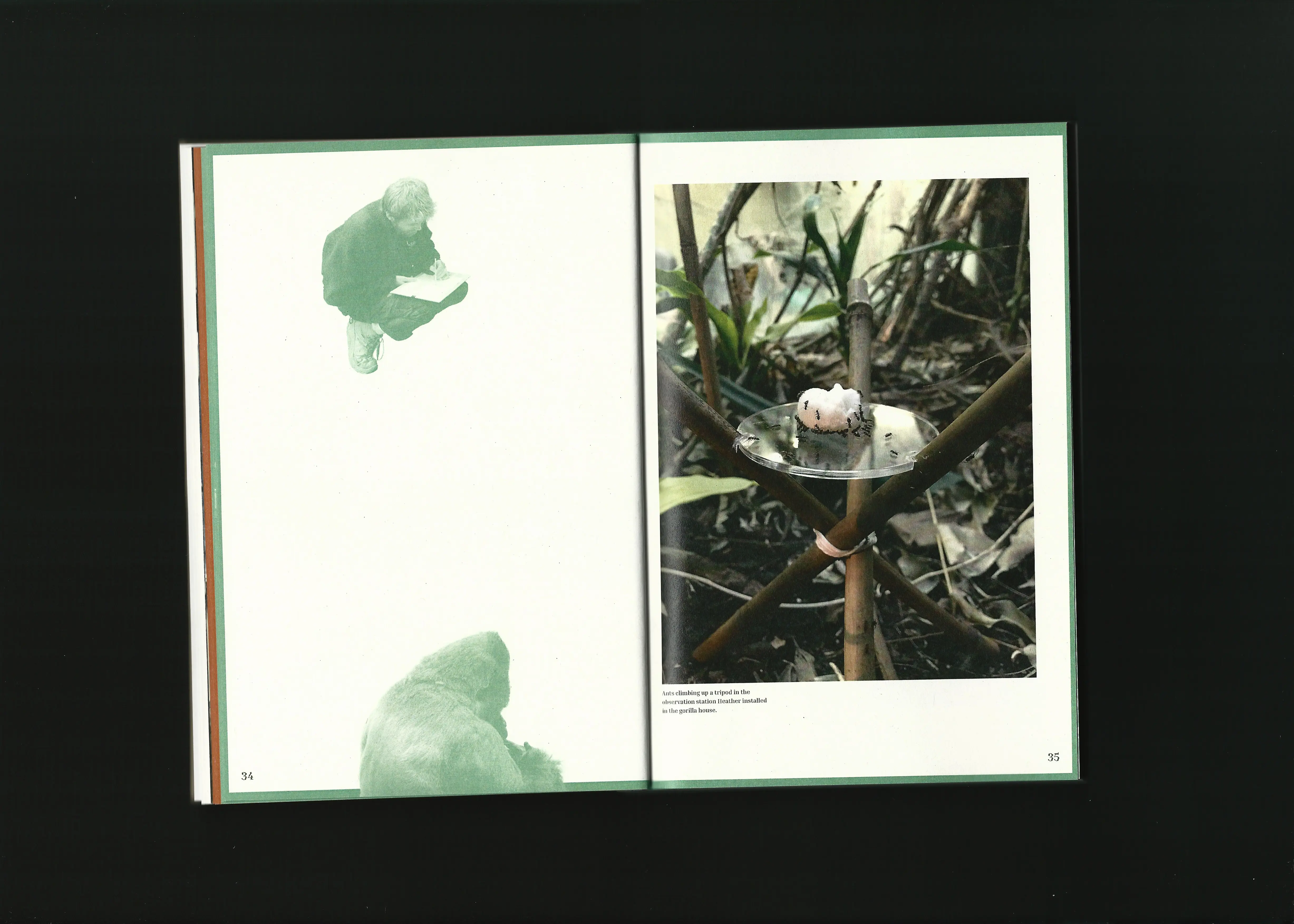 Machine Wilderness Publication