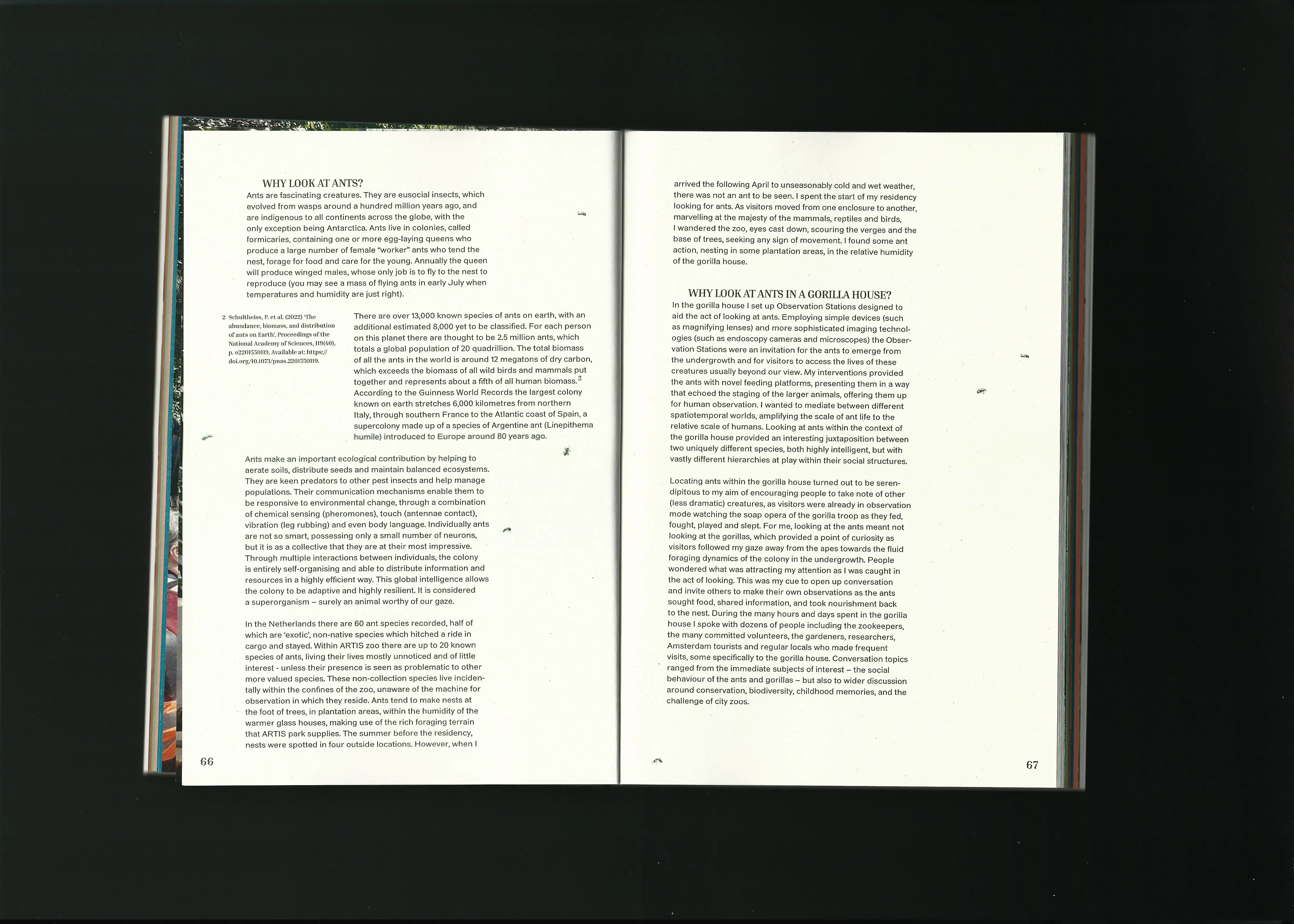 Machine Wilderness Publication